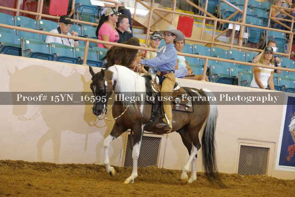 Proof 15YN_16595