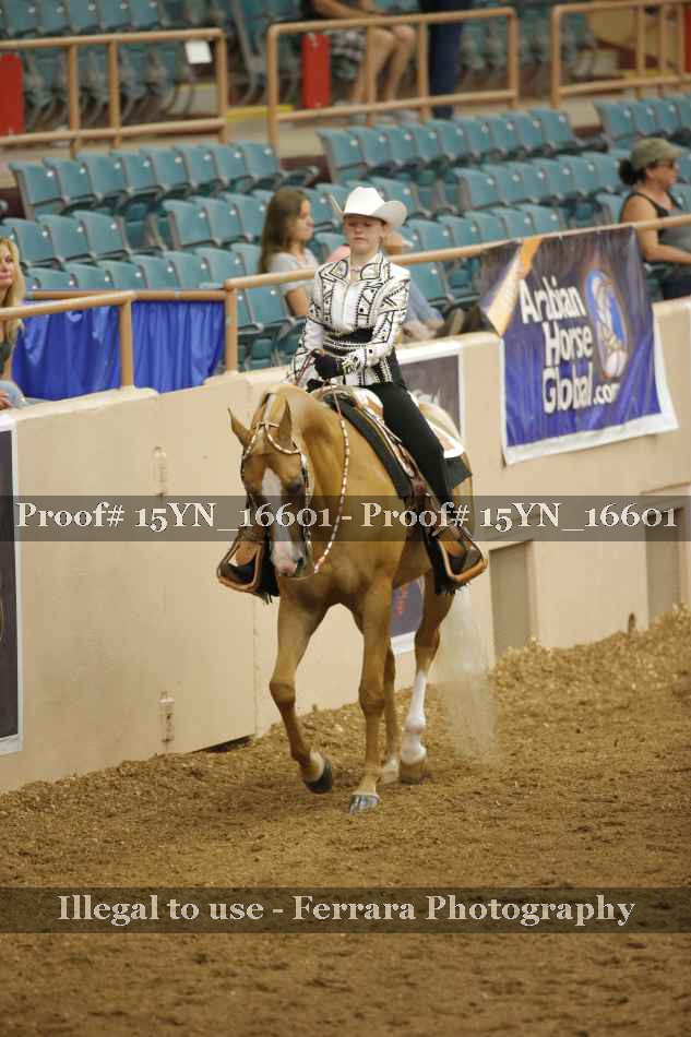 Proof 15YN_16601