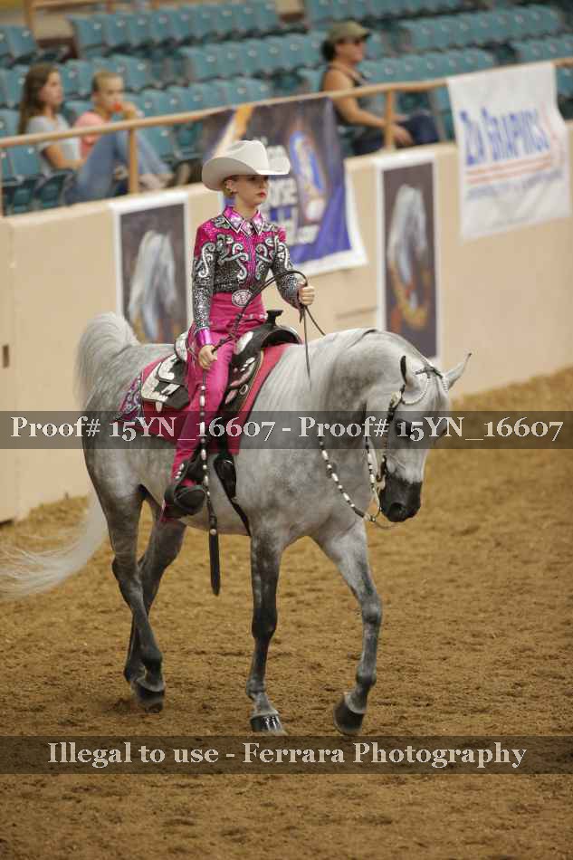 Proof 15YN_16607