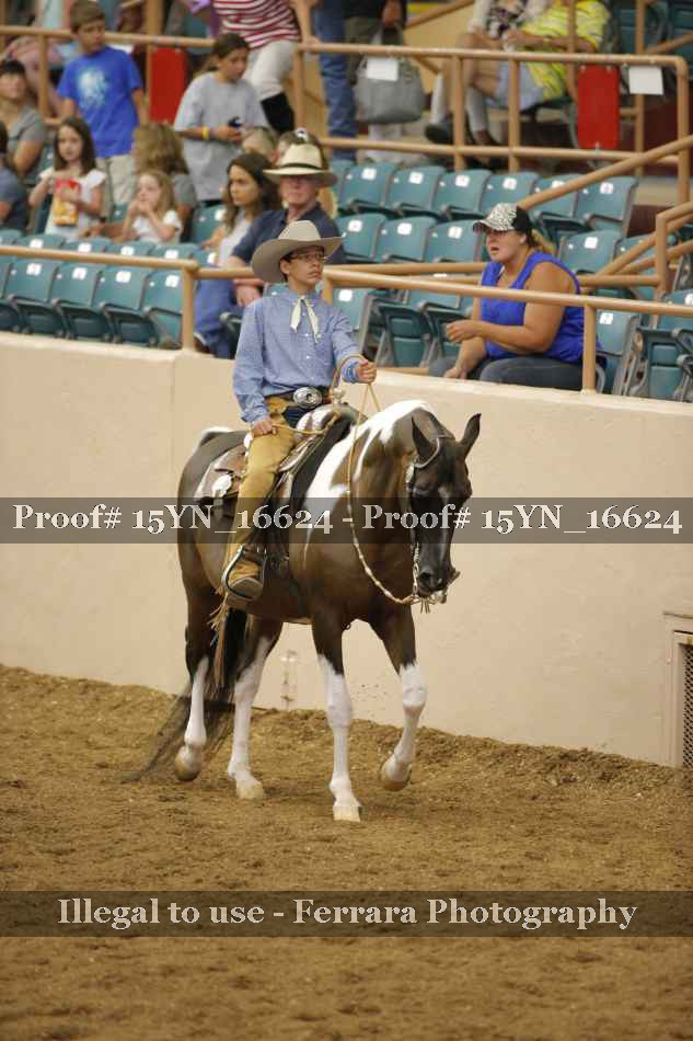 Proof 15YN_16624