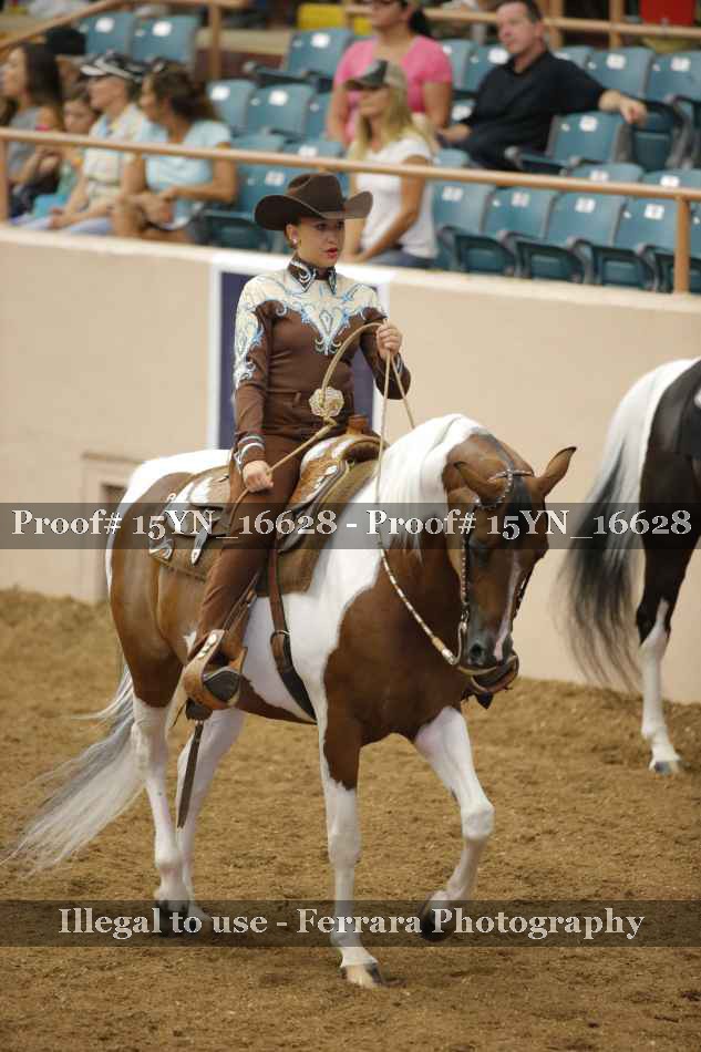 Proof 15YN_16628