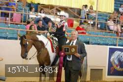 15YN_16634 proof