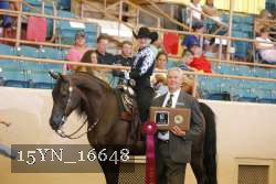 15YN_16648 proof
