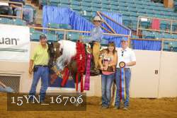 15YN_16706 proof
