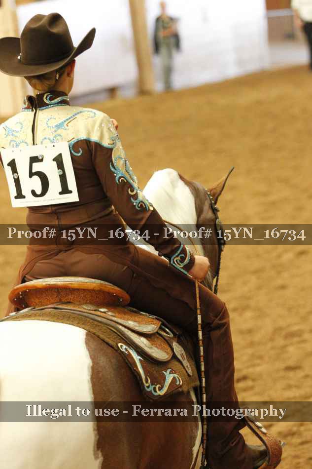 Proof 15YN_16734