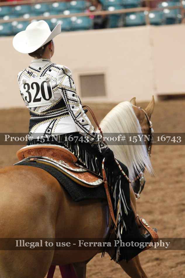 Proof 15YN_16743