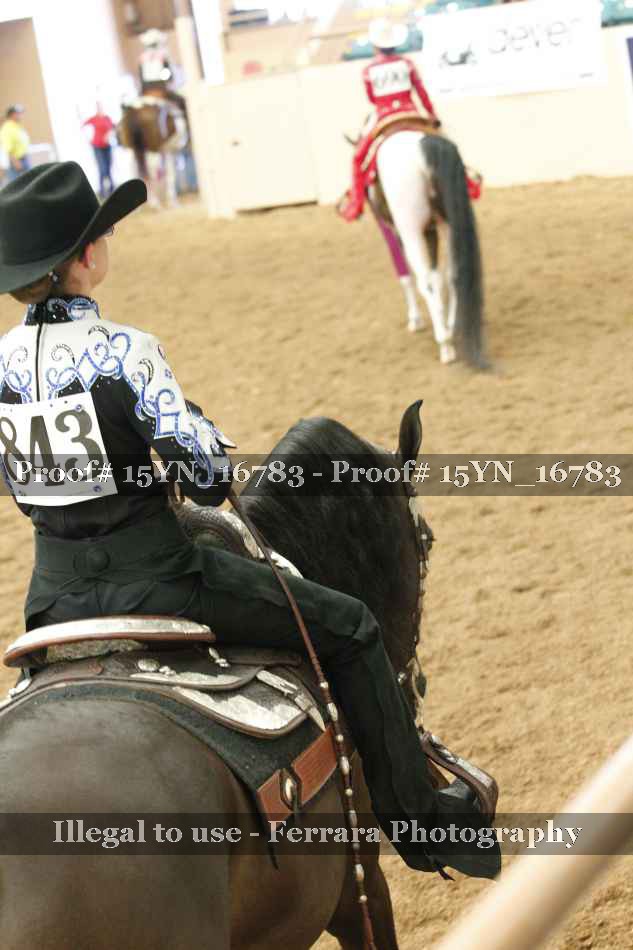 Proof 15YN_16783