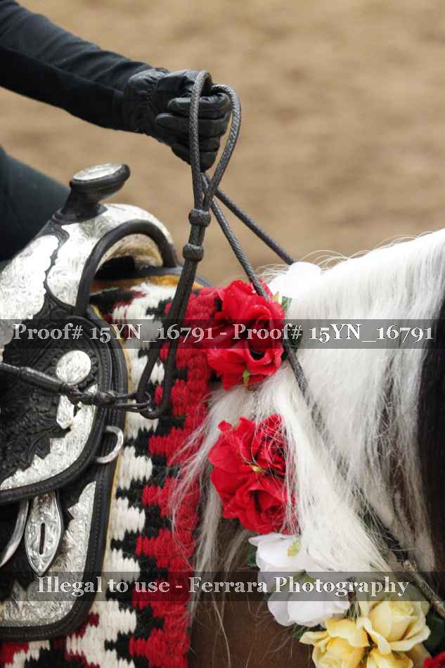 Proof 15YN_16791