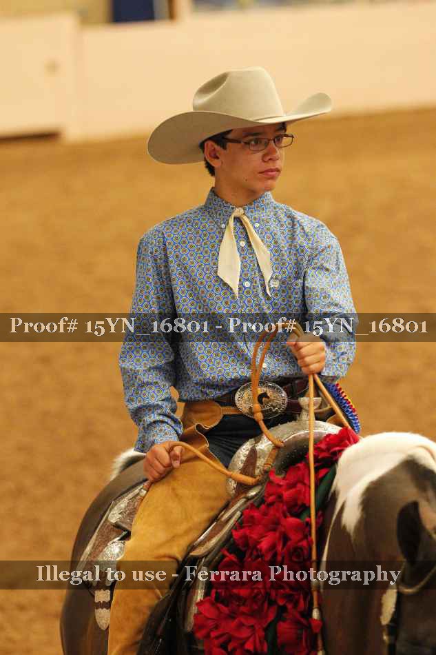 Proof 15YN_16801