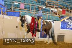15YN_16803 proof
