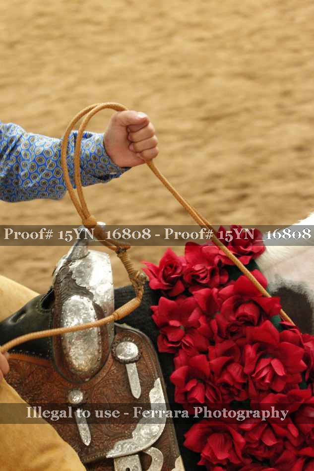 Proof 15YN_16808