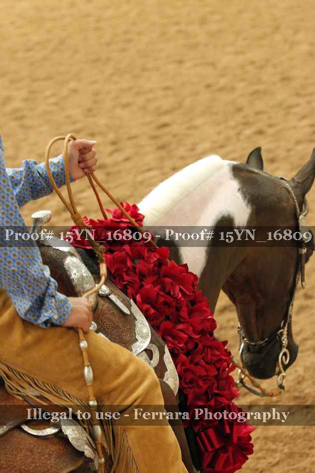 Proof 15YN_16809