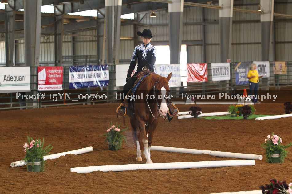 Proof 15YN_00760
