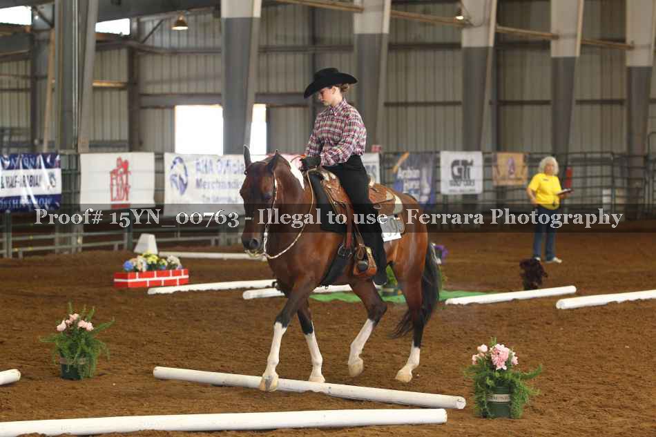 Proof 15YN_00763