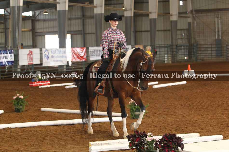 Proof 15YN_00765