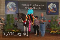 15YN_03005 proof