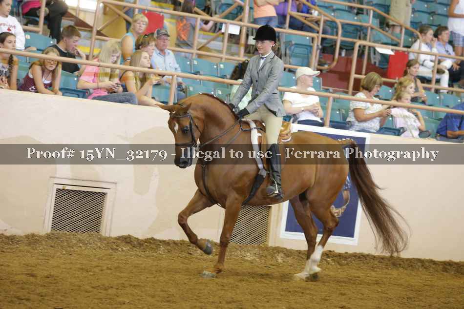 Proof 15YN_32179