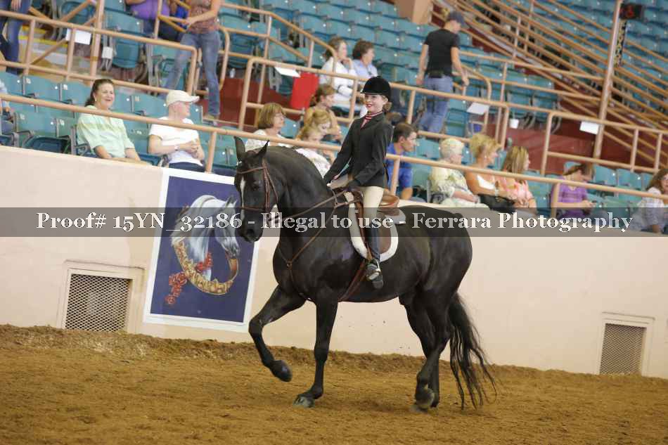 Proof 15YN_32186