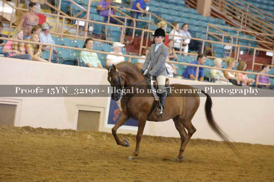 Proof 15YN_32190