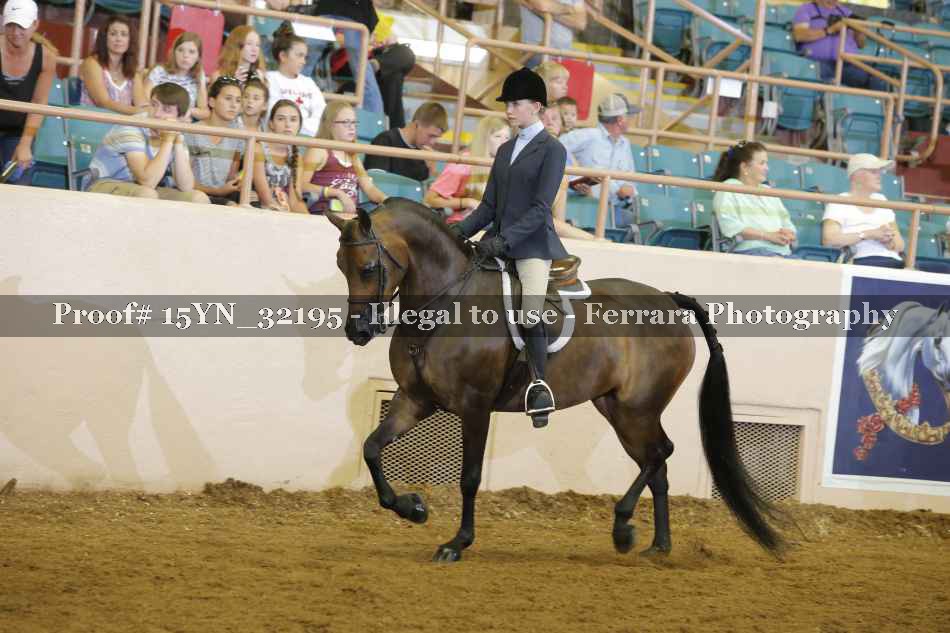Proof 15YN_32195