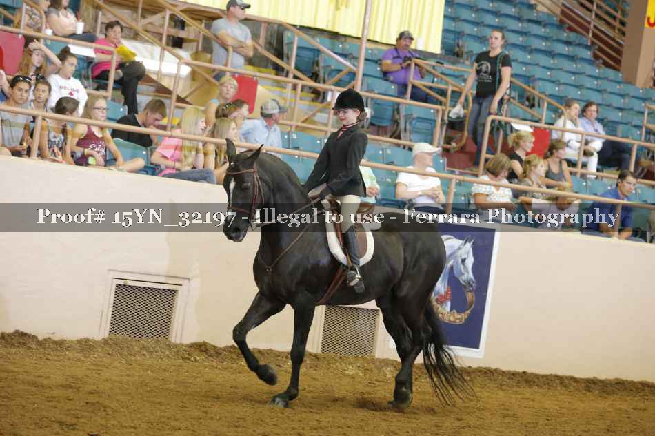 Proof 15YN_32197