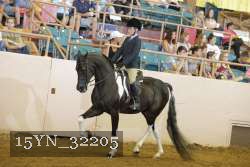 15YN_32205 proof