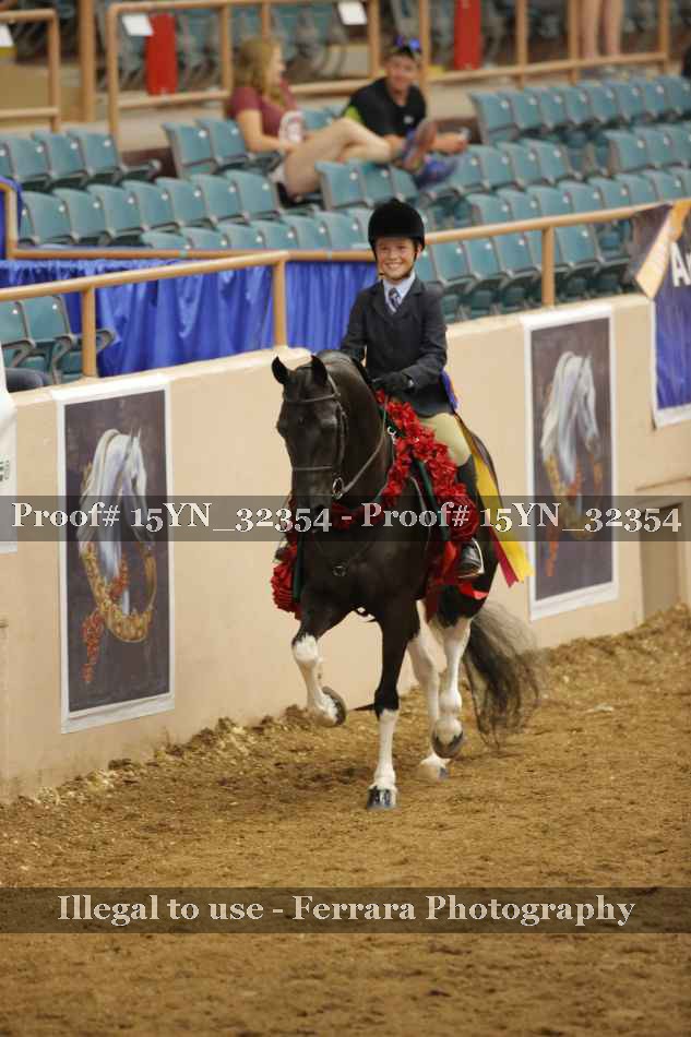 Proof 15YN_32354