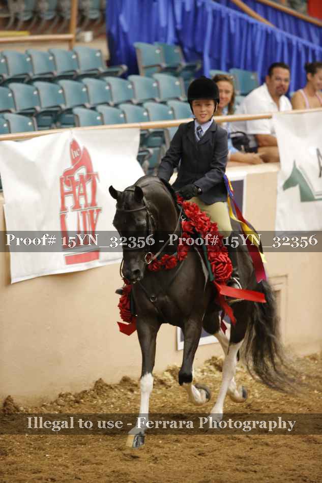 Proof 15YN_32356