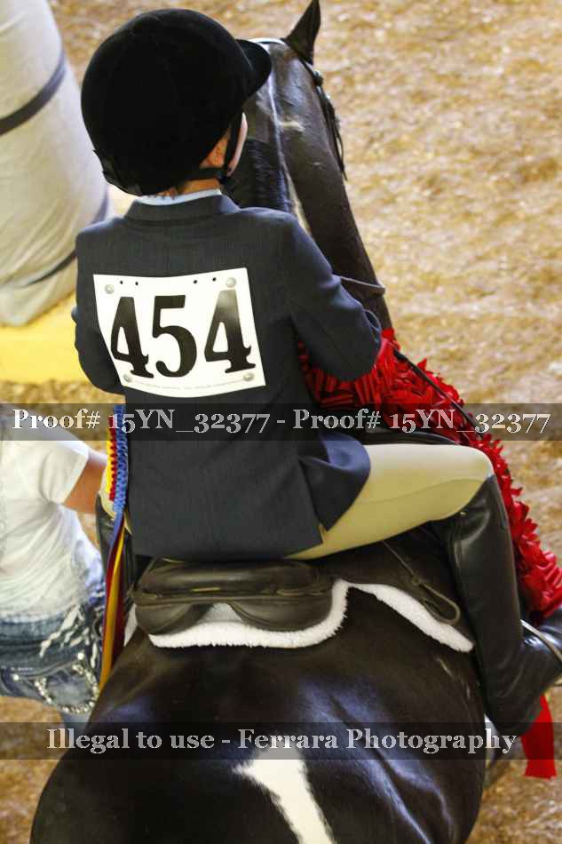 Proof 15YN_32377
