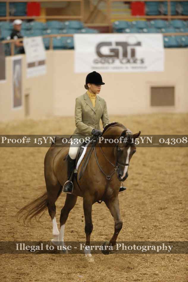 Proof 15YN_04308