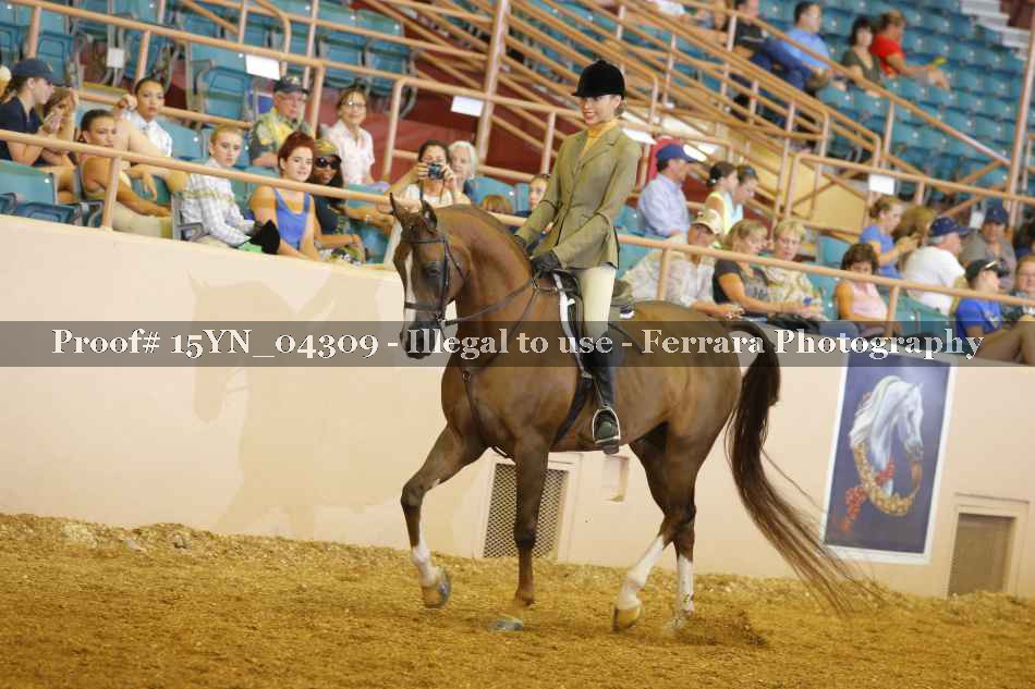 Proof 15YN_04309