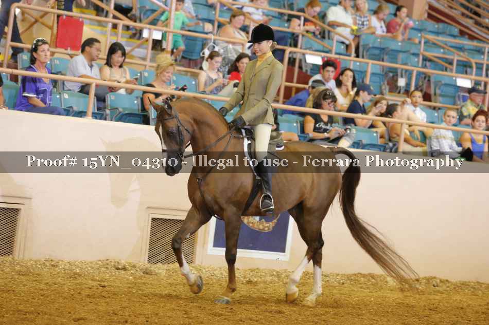 Proof 15YN_04310