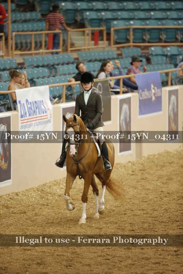 Proof 15YN_04311