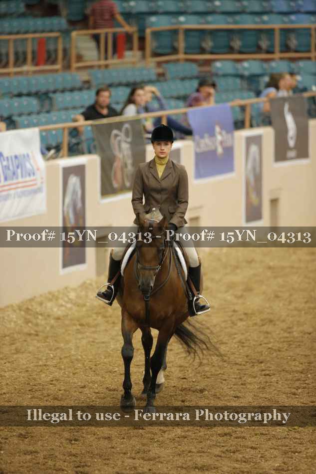 Proof 15YN_04313