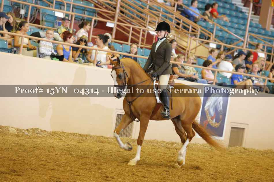Proof 15YN_04314