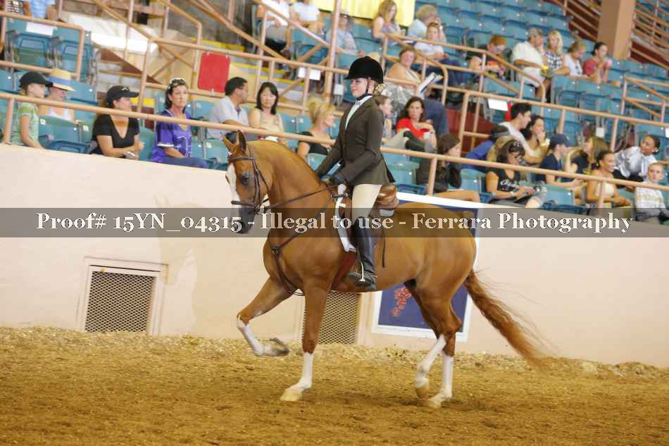 Proof 15YN_04315