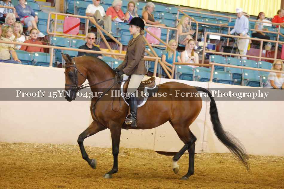 Proof 15YN_04317