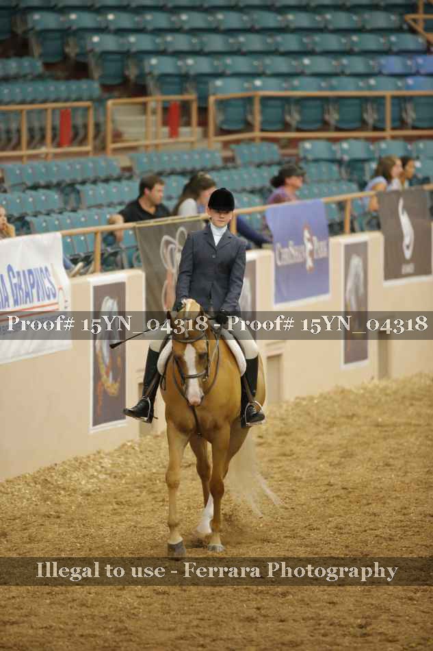 Proof 15YN_04318