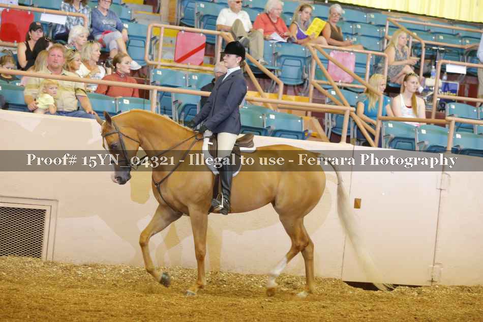 Proof 15YN_04321
