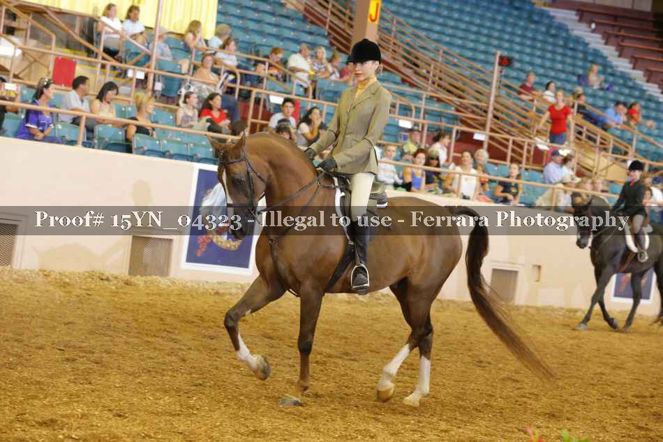 Proof 15YN_04323