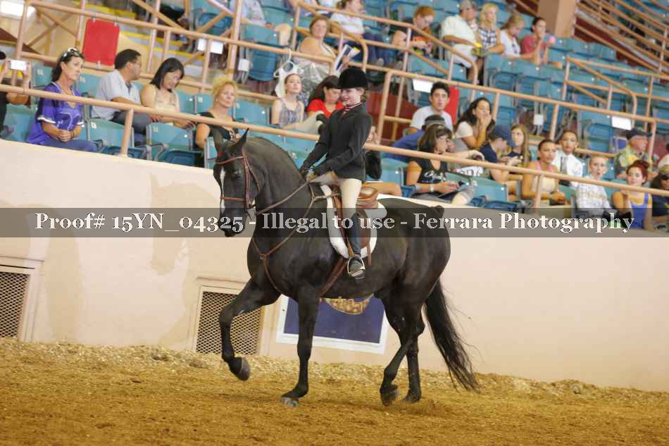 Proof 15YN_04325