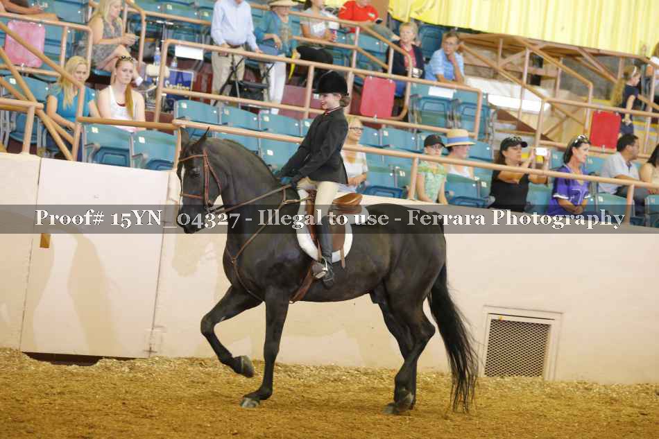 Proof 15YN_04327