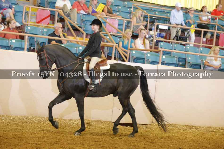 Proof 15YN_04328