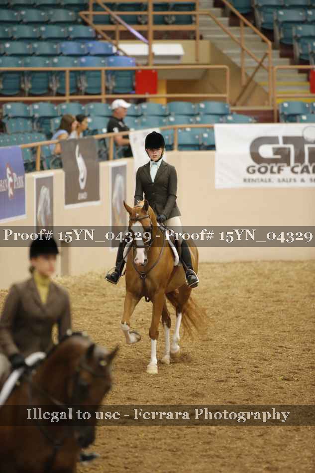 Proof 15YN_04329