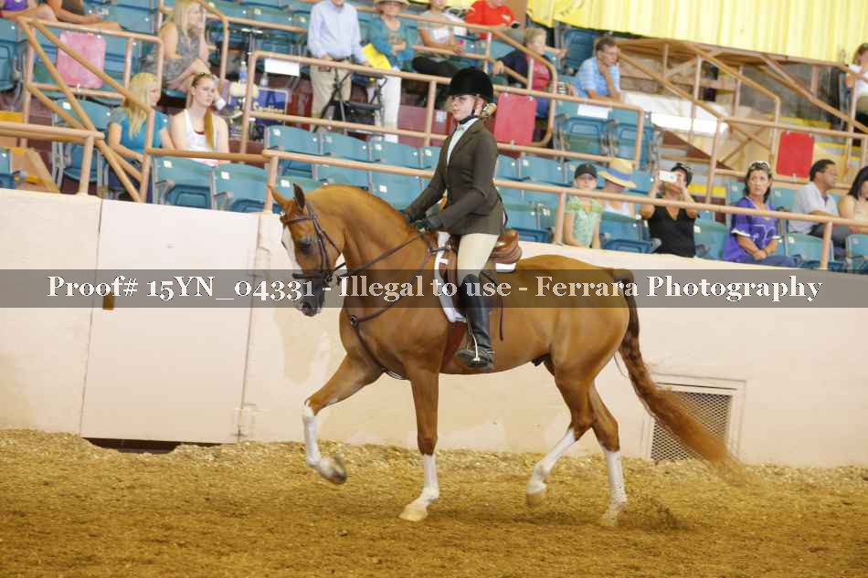 Proof 15YN_04331
