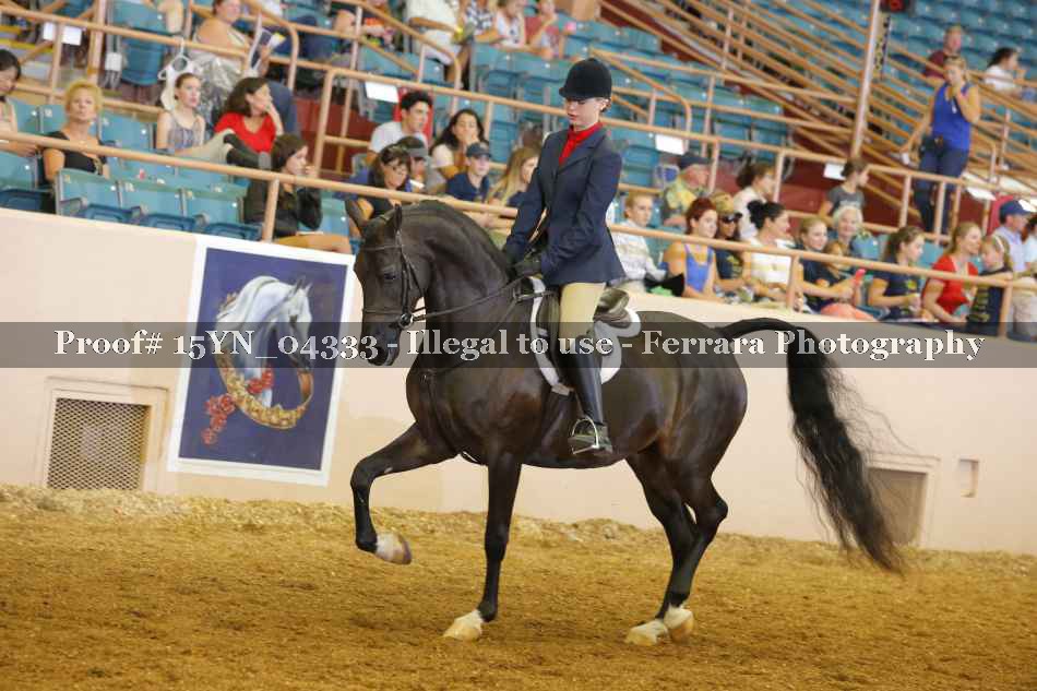 Proof 15YN_04333