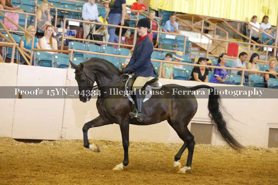 Proof 15YN_04334