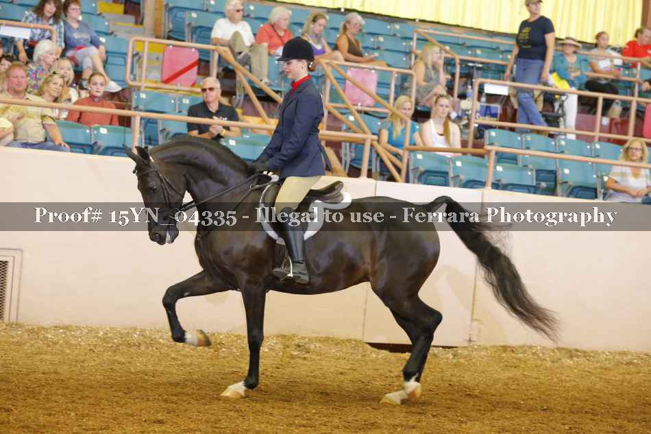 Proof 15YN_04335