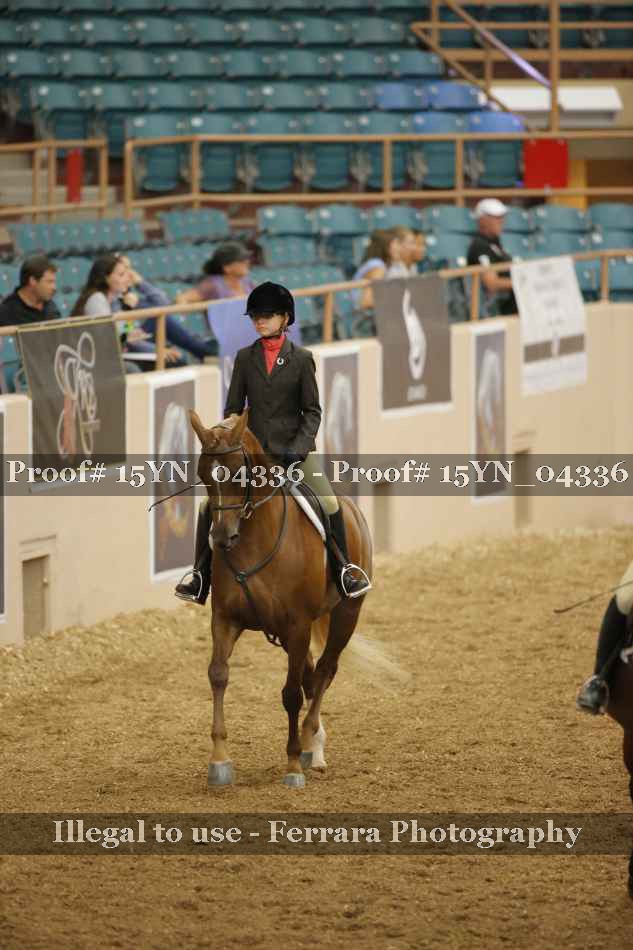 Proof 15YN_04336