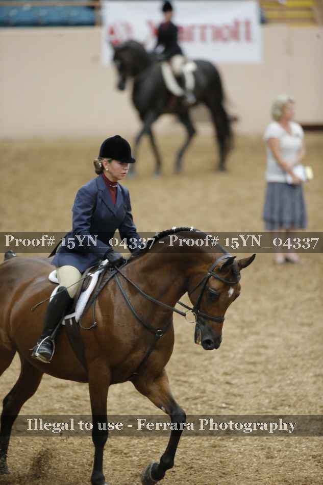 Proof 15YN_04337